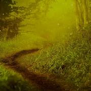 Mysteries Unfold The Ambientalist