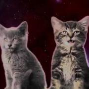 Песня Для Кошки