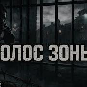 Голос Зоны Сергей Атаманенко