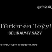 Toy Saz