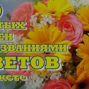 Песни О Цветах