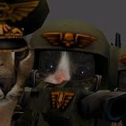 Вперед Собаки