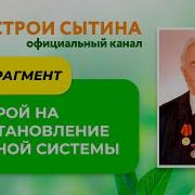 Сытин Нервная Система