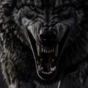 Сталь Внутри