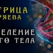Матрица Горяева