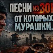 Сборник 2026 Шансон Зона