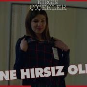 Kirgin Cicekler