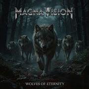 Magna Vision