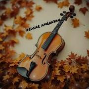 Siro Namak Cover