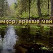 Басир Дураку Фатиха