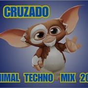 Minimal Vocal 2023