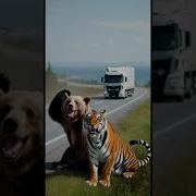 Dj Rusmorcan Дальнобойщик