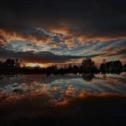 Музыка Для Исцеления Половой Системы