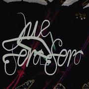 Pixies Que Sera Sera