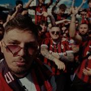 Organize Baba Shevcenko