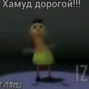 Хамун Хабиби