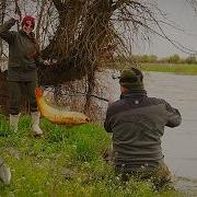 Ai Alex 496 Рыбалка