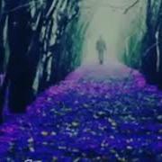 Дона Дона Музыка Пой Дона Дона Всегда Я С Тобой