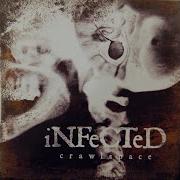 Infected Assimilate