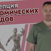Анатомические Поезда