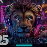 Bass Boosted Edm Remixes