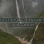 Даусари Муравьи