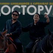 Менин Досторум