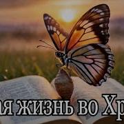 Песня 2026 Новая Жизнь Во Христе
