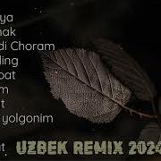 Узбек Кушиклар 2024