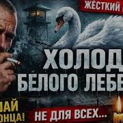 Атаманенко Холод Белого Лебедя