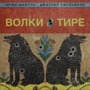 Шевчук Дрон