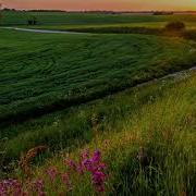 Tushlarimga Kiring Yo Rasululloh