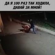 Далял Сто Раз