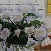 Белые Розы На Гитаре