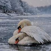 Крылья Верности Мария Лахина