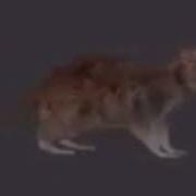 Low Quality Gangnam Style