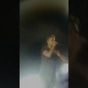 Nvb Music Group El Bambo