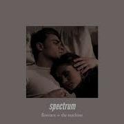 Spectrum Slowed