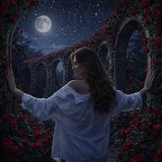 Ты Меня Любишь Dj Andrey