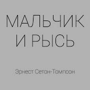 Мальчик И Рысь