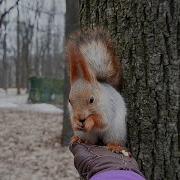 Не Нужны Мне Дворцы И Хоромы