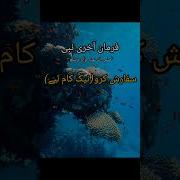 Alhazn Yasser Alfaraj