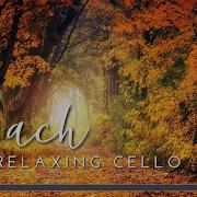 Виолончель Релакс