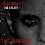The Bridge Anna Calvi