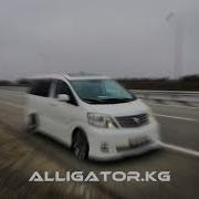 Салим Опа Опа Оп