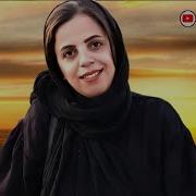 Мачид Алипур