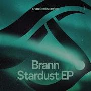 Bricks Of Water Extended Mix Brann Ar