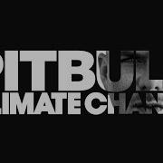 Pitbull Sexy Body Sped