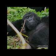 Щас Всей Толпой