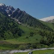 Fargʻona Goʻzalsan